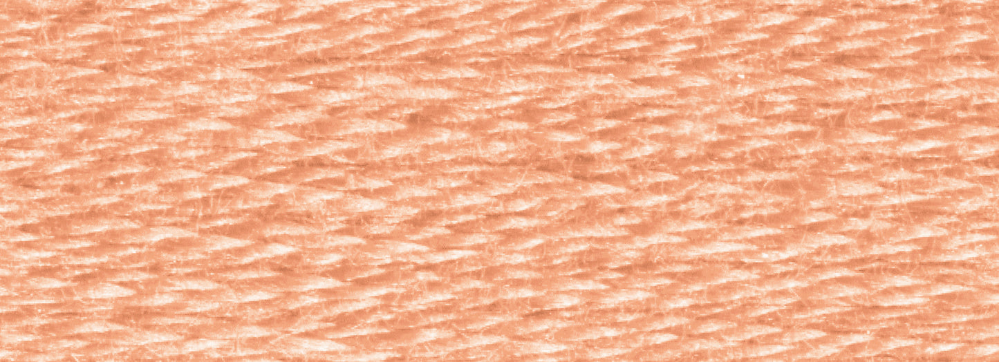 DMC Embroidery Floss - Colors 3600 to 3800