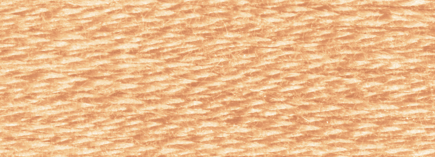 DMC Embroidery Floss - Colors 351 to 500