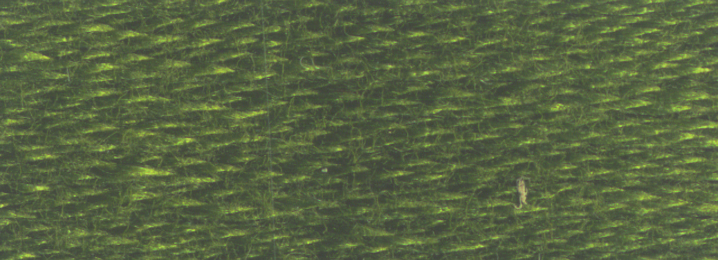 DMC Embroidery Floss - Colors 901 to 1000
