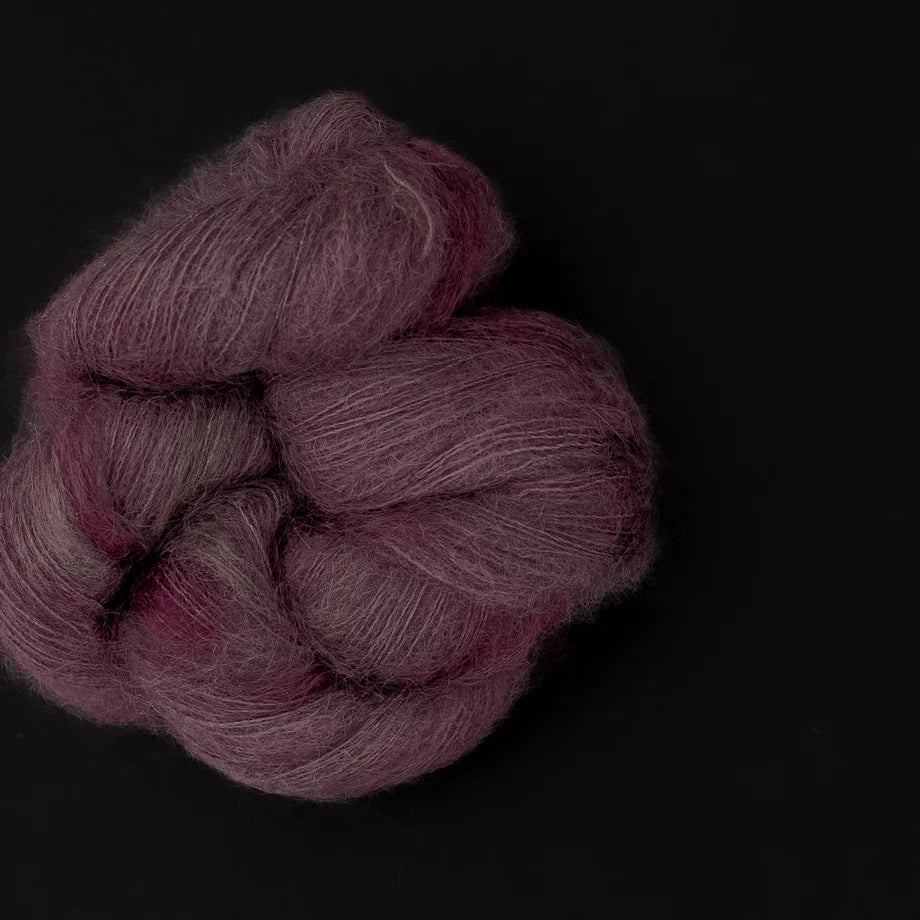 Allegra - Carpe Diem - Lace
