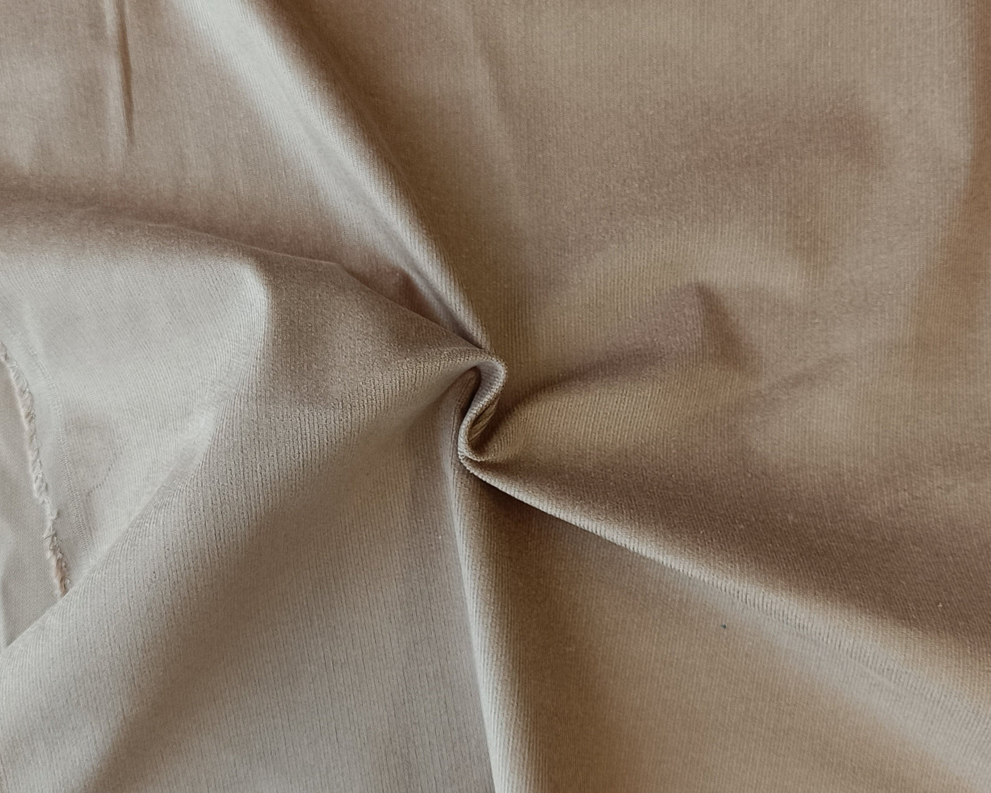 Corduroy 21 côtes - Sable