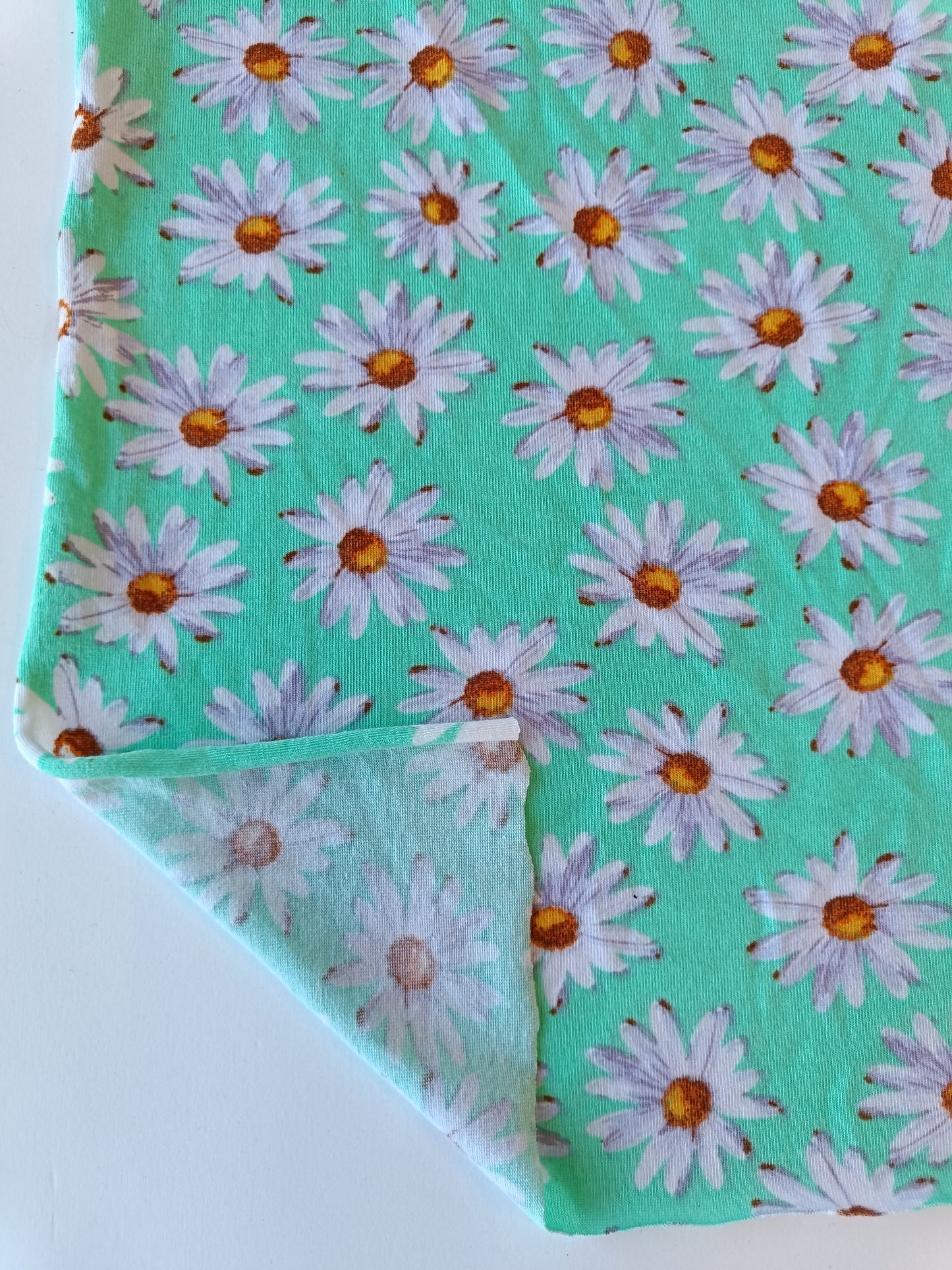 Jersey marguerites - Turquoise
