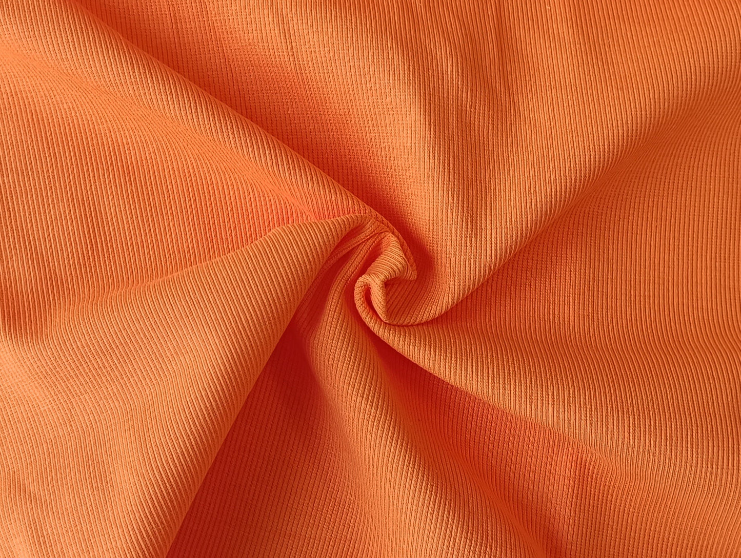 Coastal edge - Kumquat