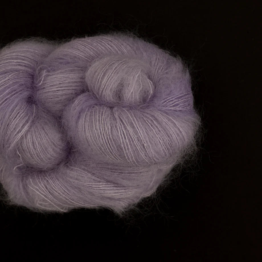 Allegra - Carpe Diem - Lace