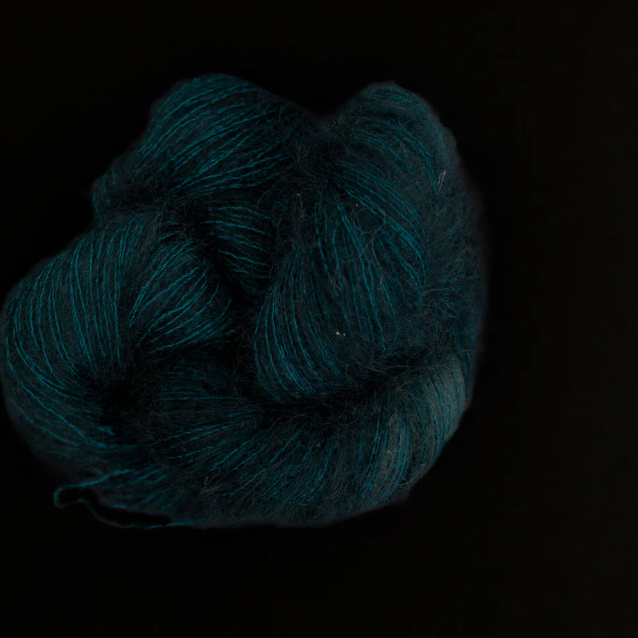 Allegra - Carpe Diem - Lace