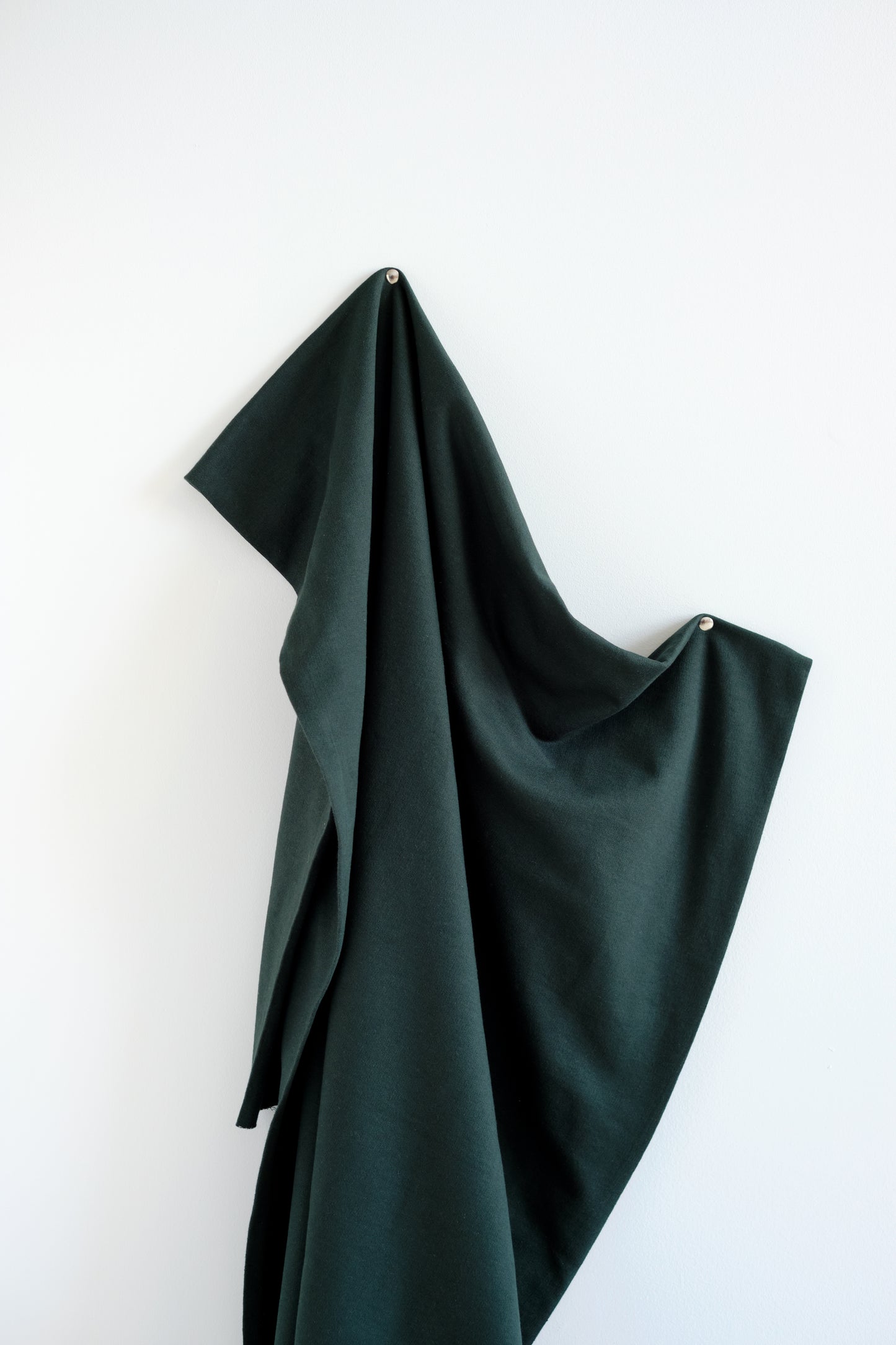 French Terry de coton - Vert