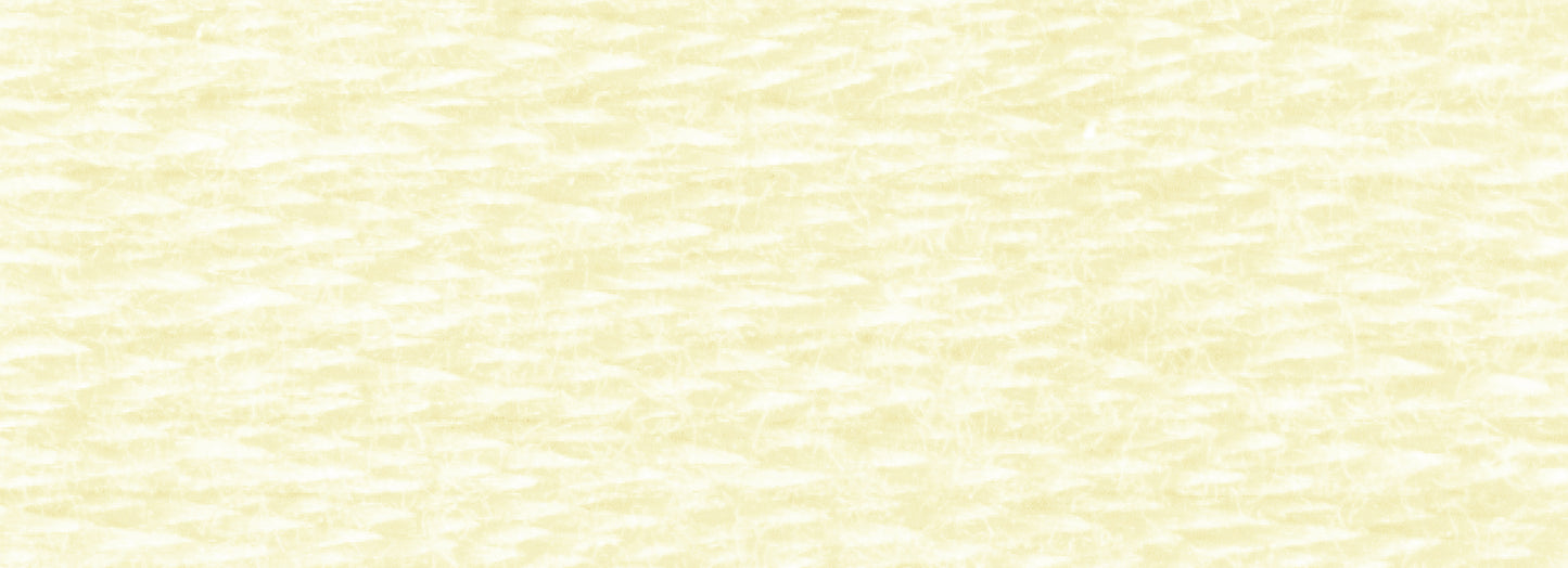 DMC Embroidery Floss - Colors 651 to 800