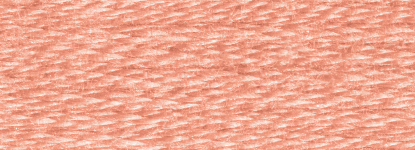 DMC Embroidery Floss - Colors 651 to 800