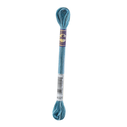 DMC Embroidery Floss - Color Variations (12 Colors)