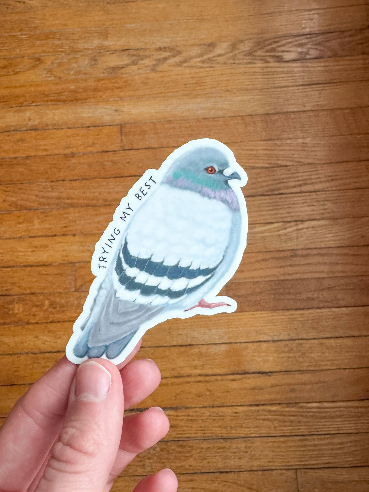 Autocollant « Pigeon qui fait de son mieux » - Art By Tiu