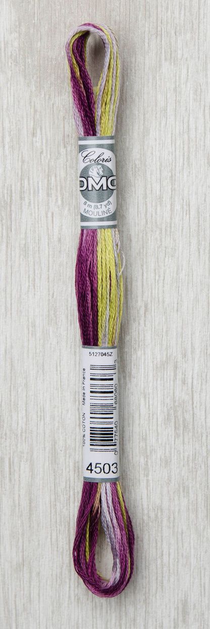 Fil à broder DMC - Coloris (24 couleurs)