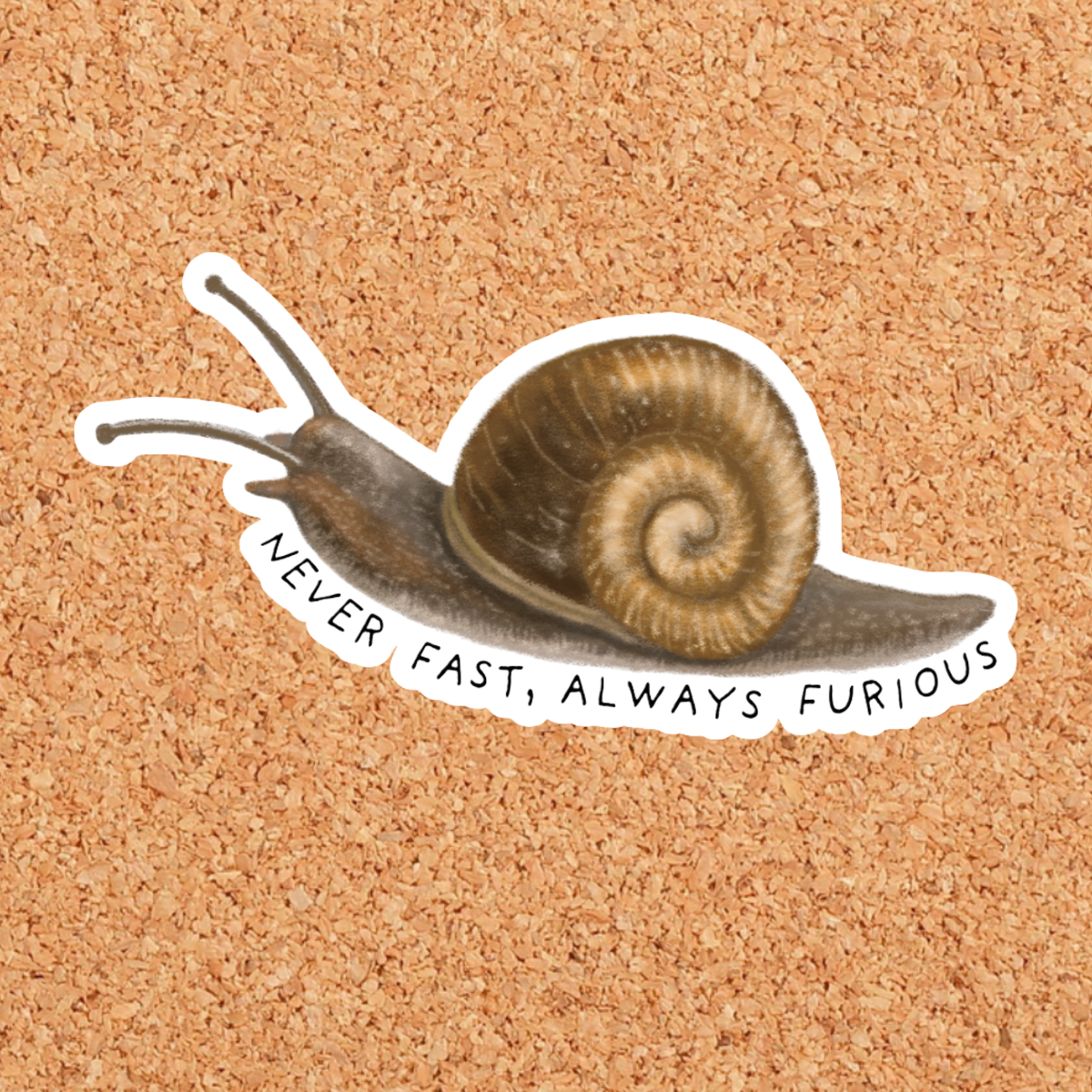 Autocollant en vinyle Escargot "never fast, always furious" - Art By Tiu