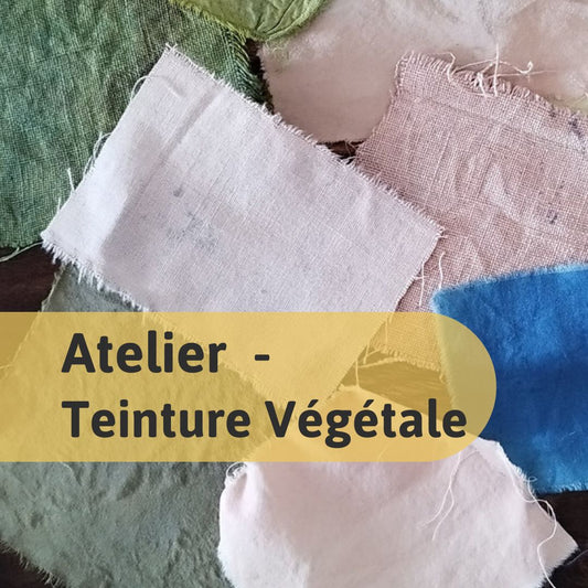 Workshop - Introduction to Vegetable Dyeing in Montreal