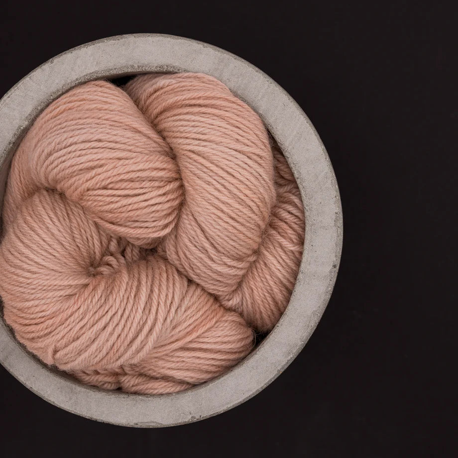 Calantra - Carpe Diem - DK