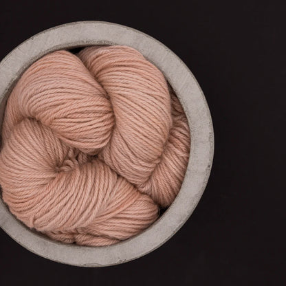 Calantra - Carpe Diem - DK