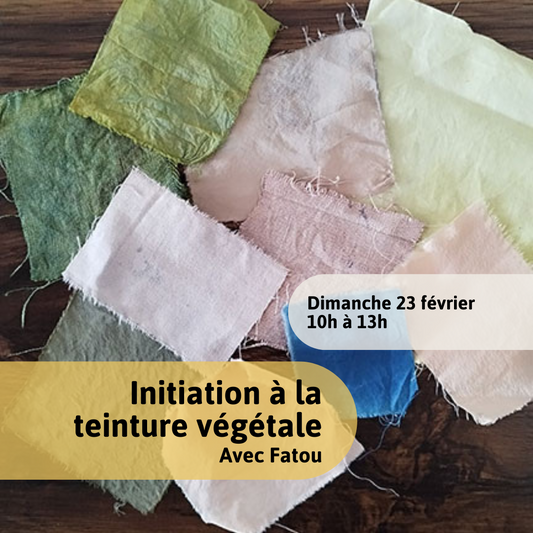 Workshop - Introduction to Vegetable Dyeing in Montreal