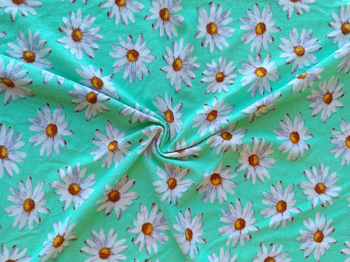 Jersey marguerites - Turquoise