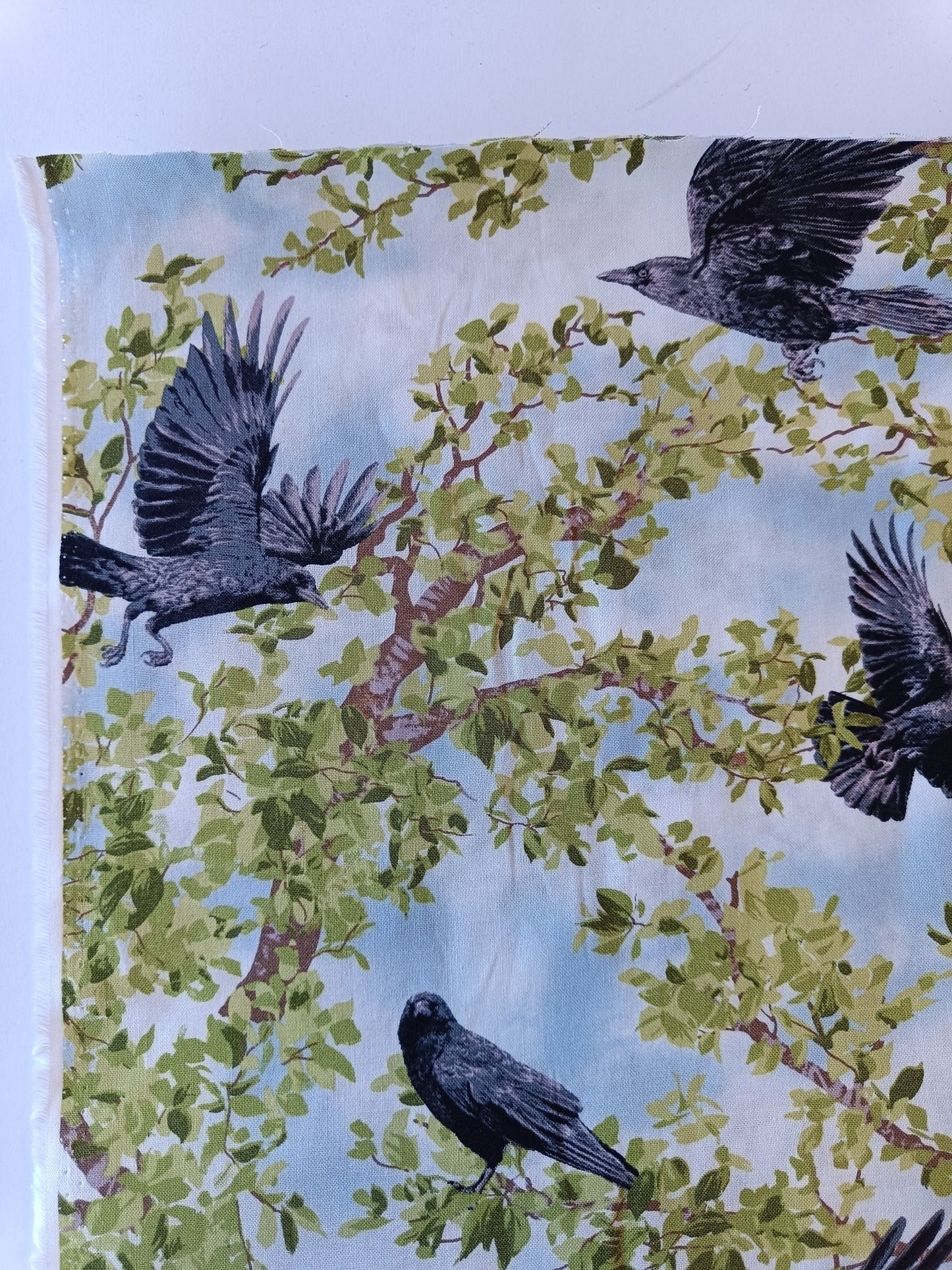 Coton à courtepointe - Corbeaux