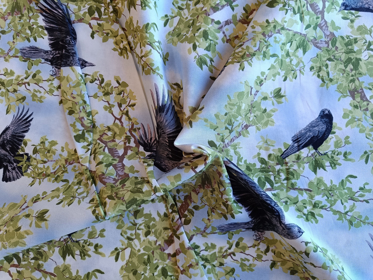 Coton à courtepointe - Corbeaux