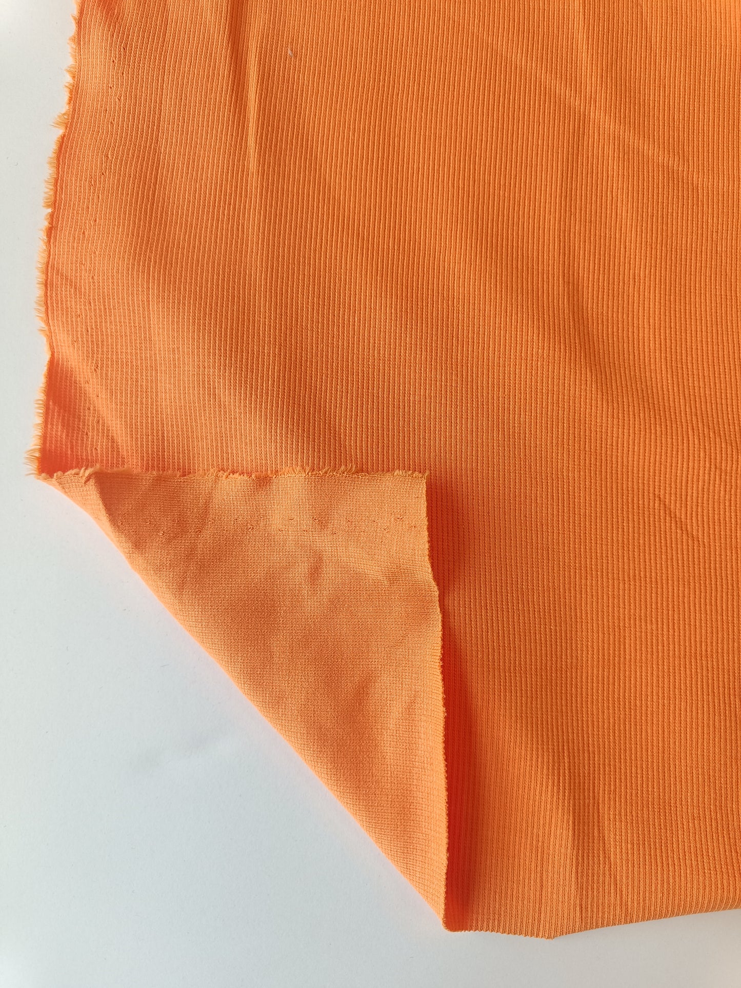 Bord côte - Kumquat