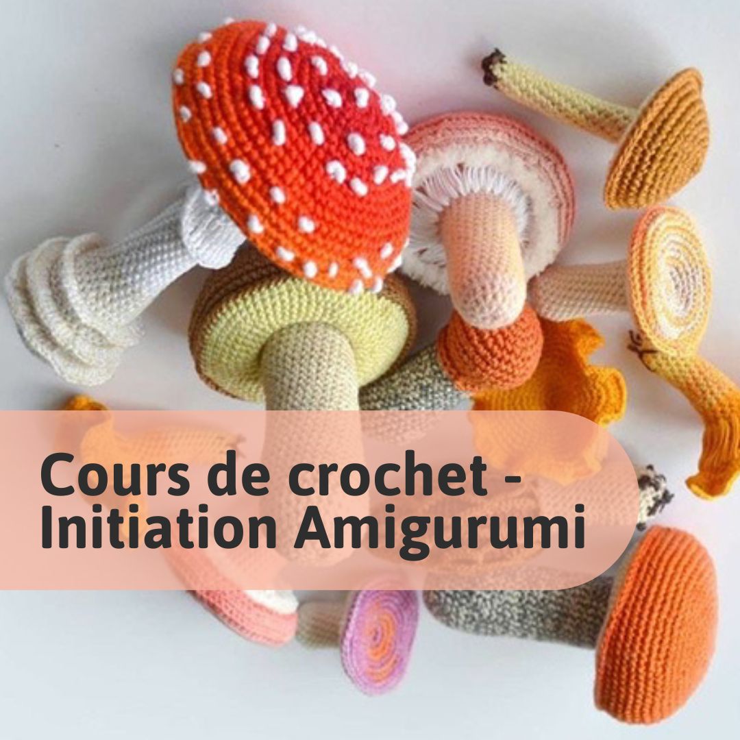 Crochet Classes - Amigurumi Initiation In Montreal
