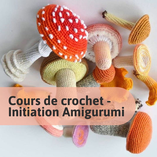 Crochet Classes - Amigurumi Initiation In Montreal