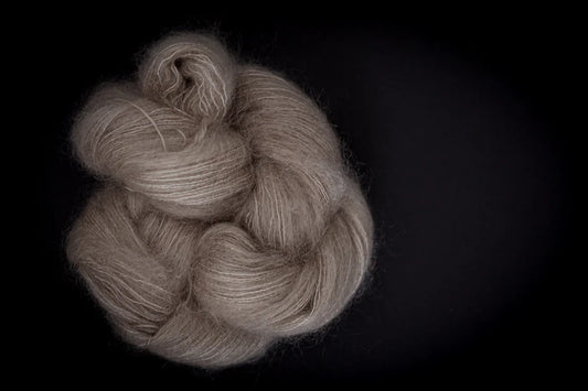 Allegra - Carpe Diem - Lace