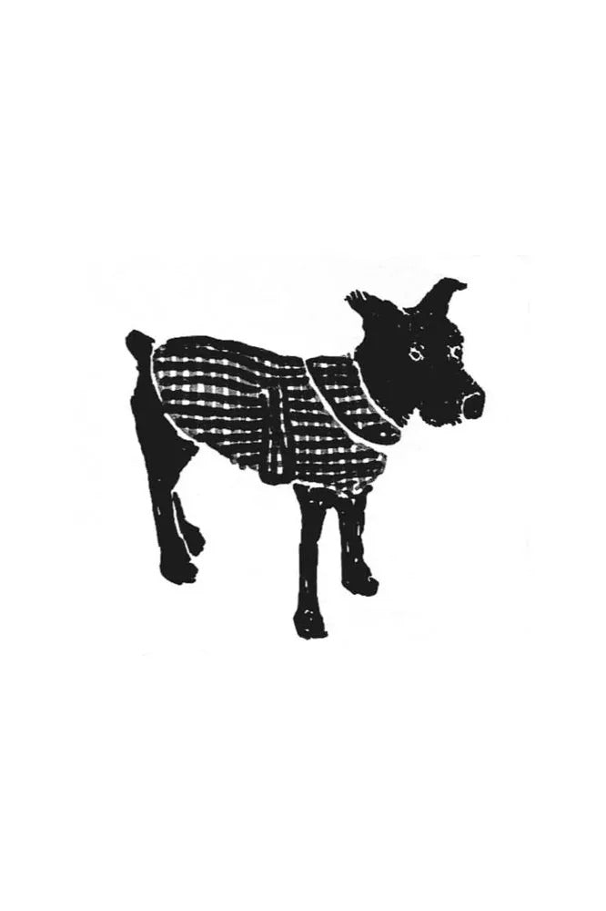 BARKA Dog Coat *less than 1m