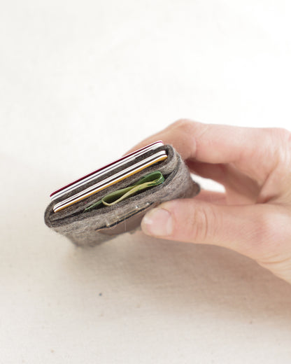 The Card Wallet PDF