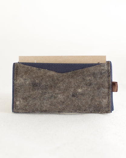 The Elastic Wallet PDF