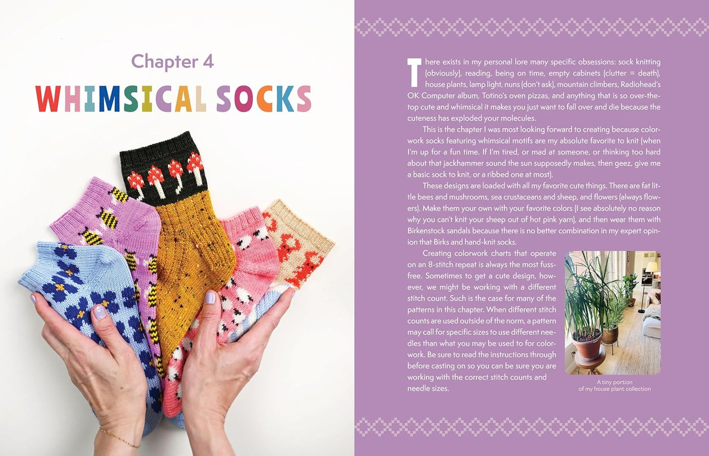 The Sock Obsession